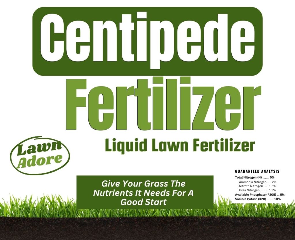 Centipede Grass Fertilizer Lawn Adore